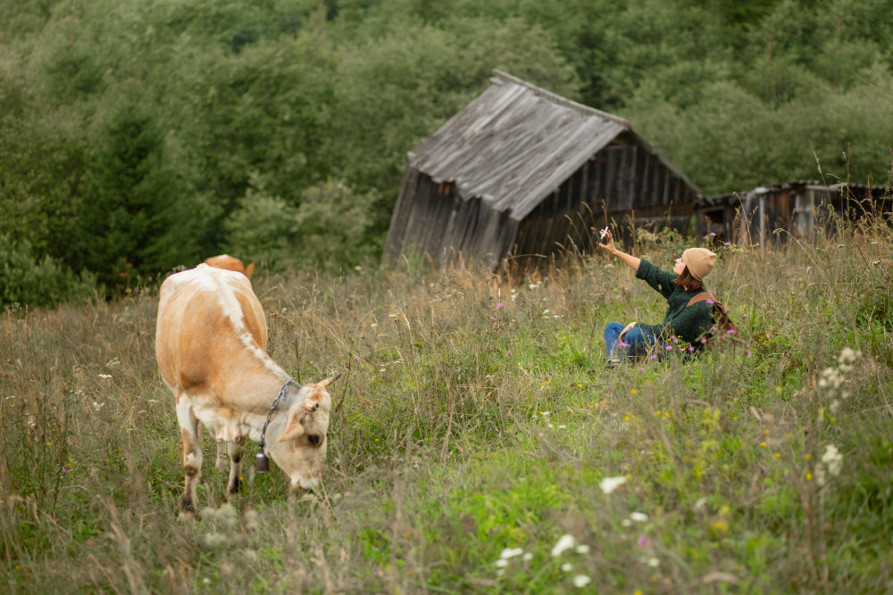 agricultura in Romania